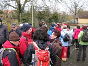 Bienwald Wanderung 2014